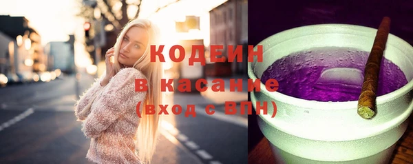 сатива Бородино
