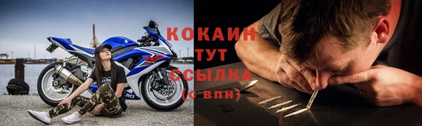 шишки Верея