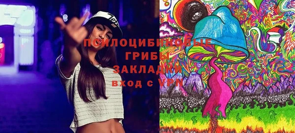 шишки Верея