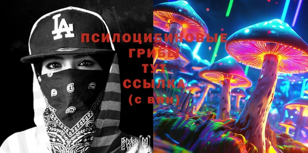 шишки Верея