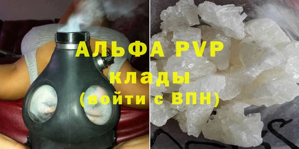 крисы Новокубанск